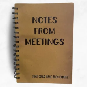 Notes From Meetings That Could Have Been Emails A5 Notebook
